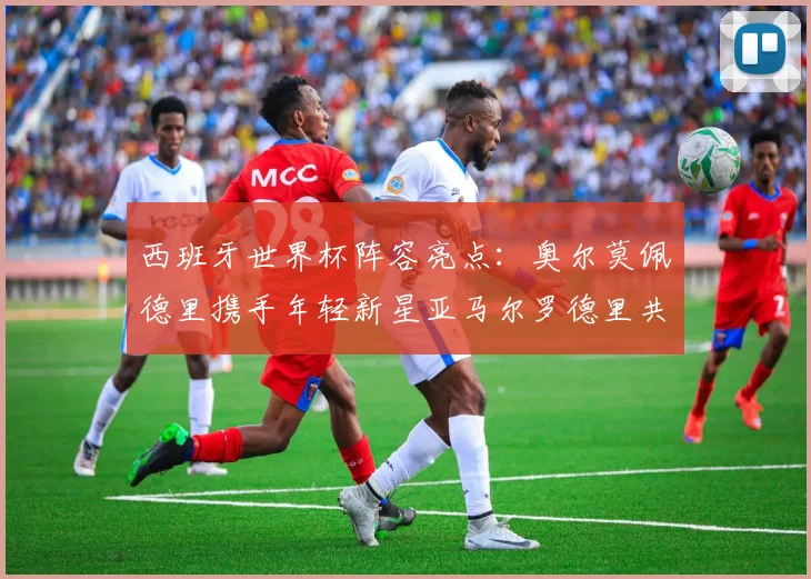 西班牙世界杯阵容亮点：奥尔莫佩德里携手年轻新星亚马尔罗德里共赴荣耀之战