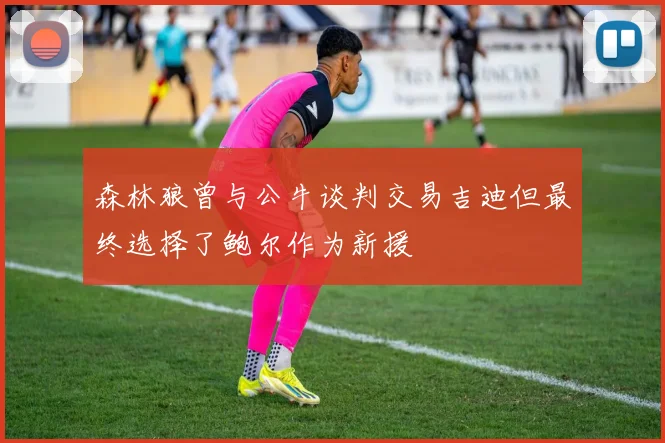 森林狼曾与公牛谈判交易吉迪但最终选择了鲍尔作为新援
