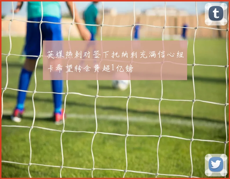 英媒热刺对签下托纳利充满信心纽卡希望转会费超1亿镑